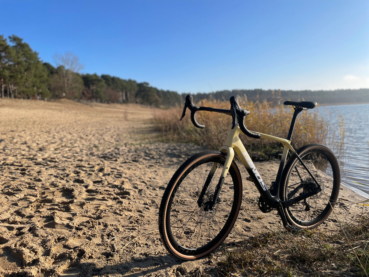 RINOS Bicicleta Gravel Carbon Sandman7.0 Shimano GRX820